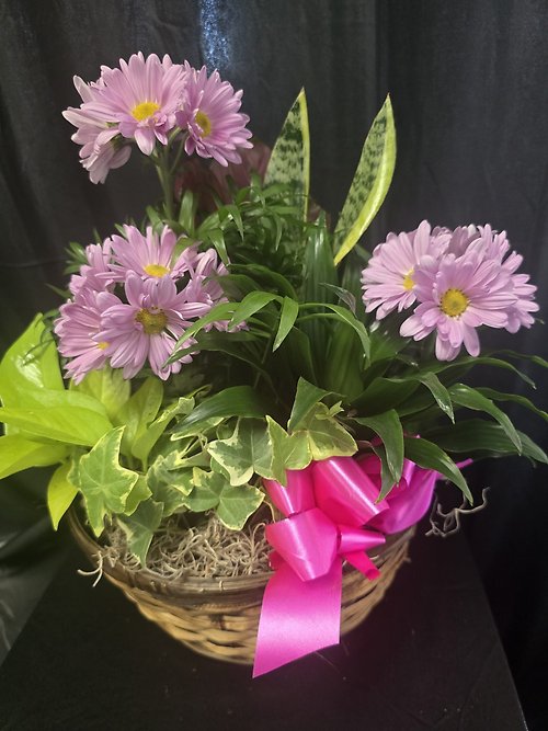 Thankfulness Dish Garden