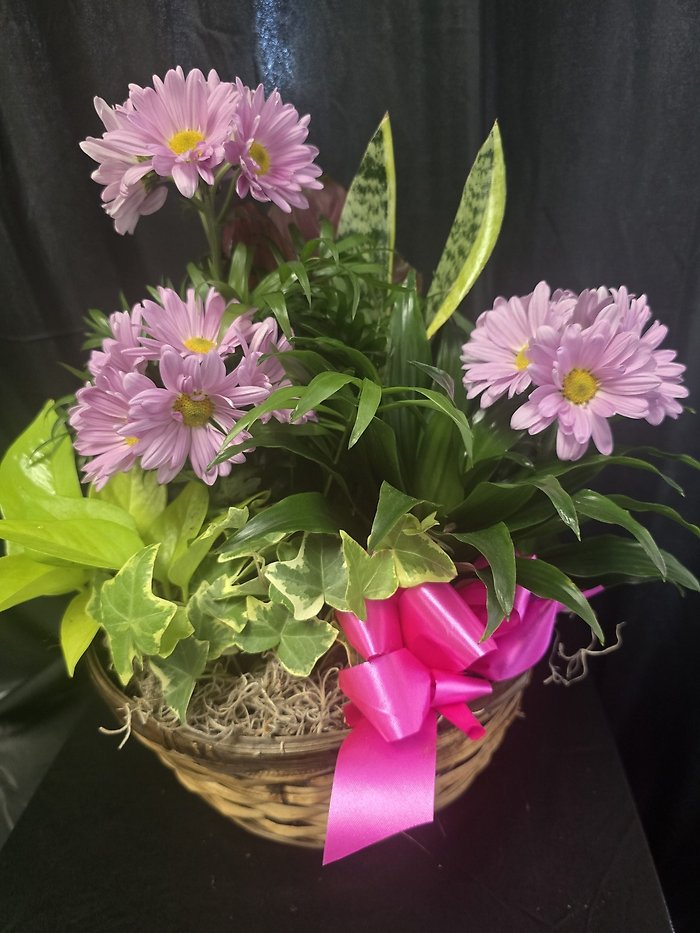 Thankfulness Dish Garden