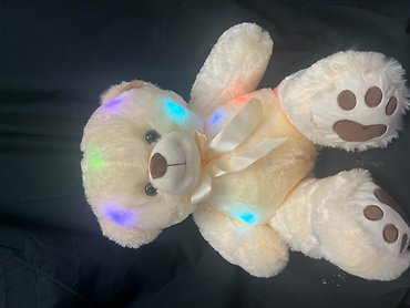 Large Light Up Bear