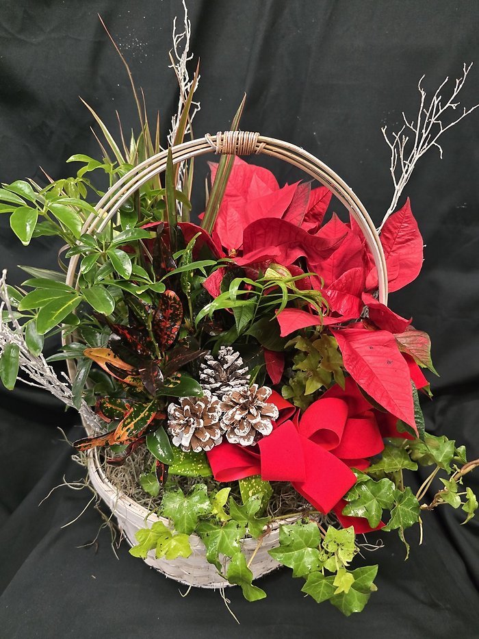 Holiday Dish Garden