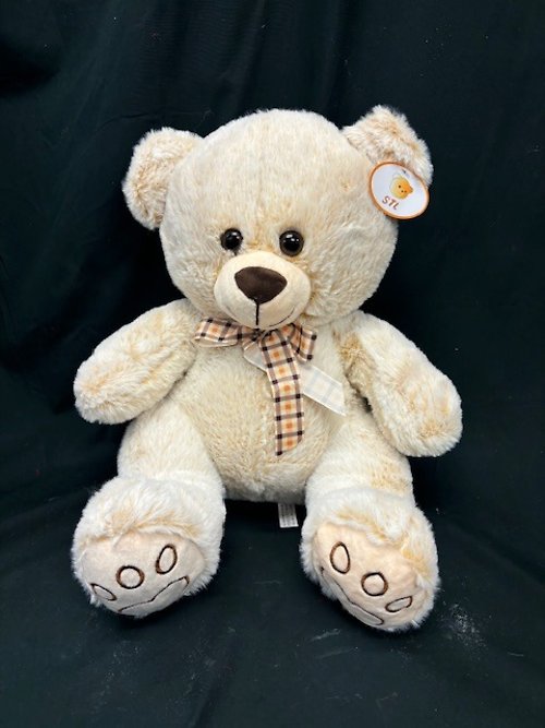 The Classic Teddy