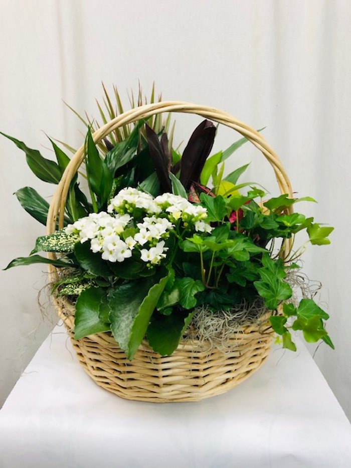 Wicker Basket Garden w/ Handle (12\")