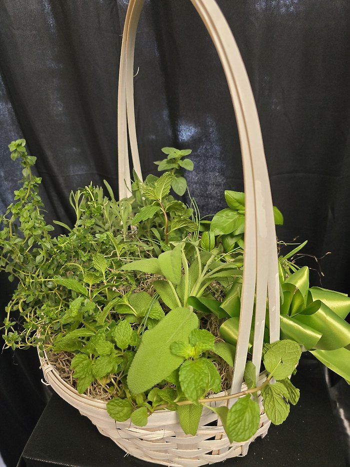 The Aromatic Herb Basket Garden
