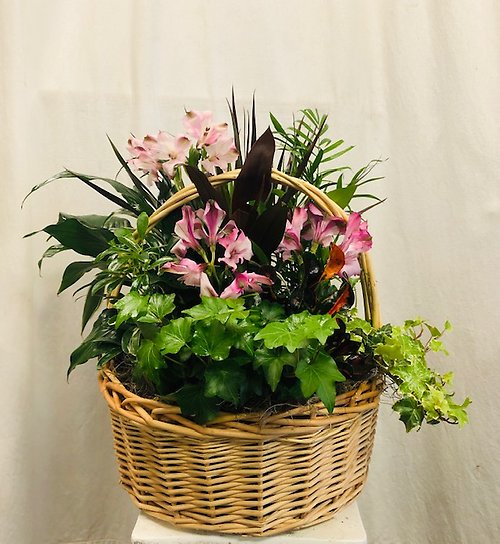Pink Assortment Garden