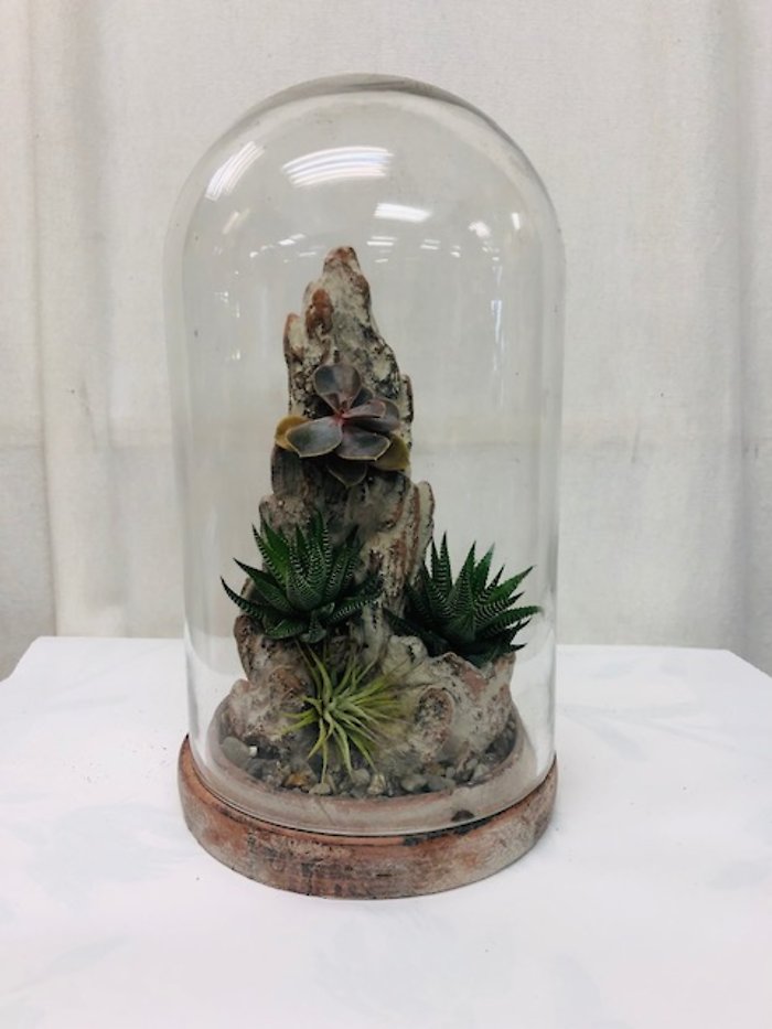 Succulent Glass Dome Cliffside Terrarium