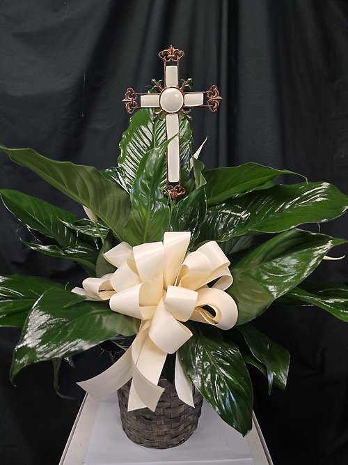 Sending Love & Prayers Tabletop Peace Lily