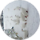 Fredrostar1