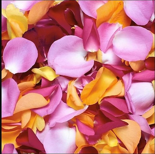Rose Petals Mix