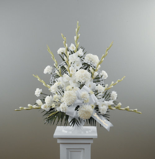 Dignity In White