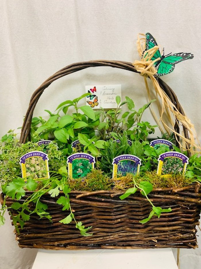 Culinary & Aromatic Herb Garden