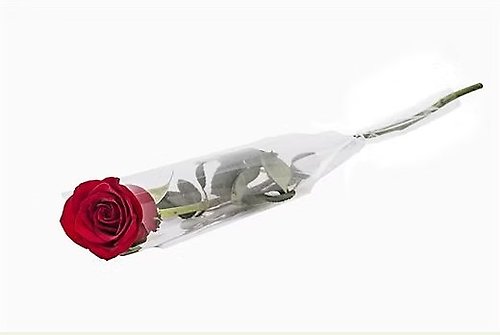 Single Wrap Rose