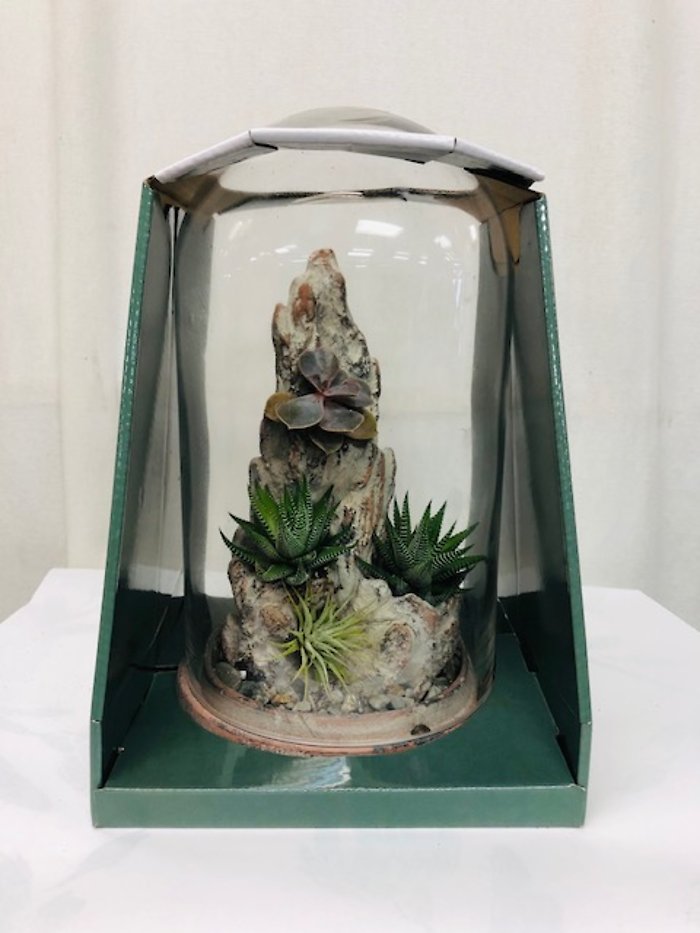 Succulent Glass Dome Cliffside Terrarium