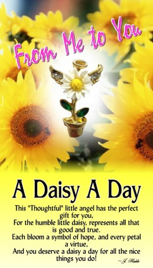 A Daisy A Day