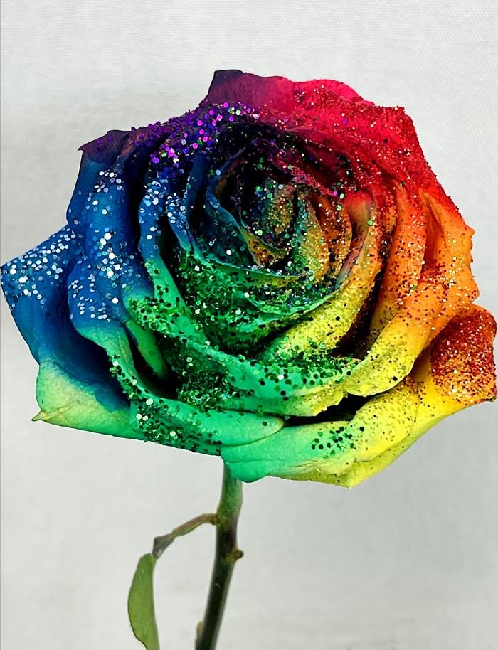 Rainbow Rose