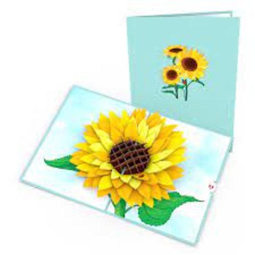 LovePop Sunflower Bloom