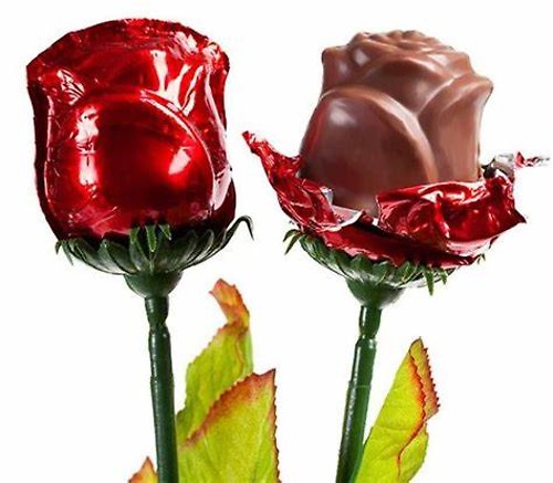 Chocolate Rose