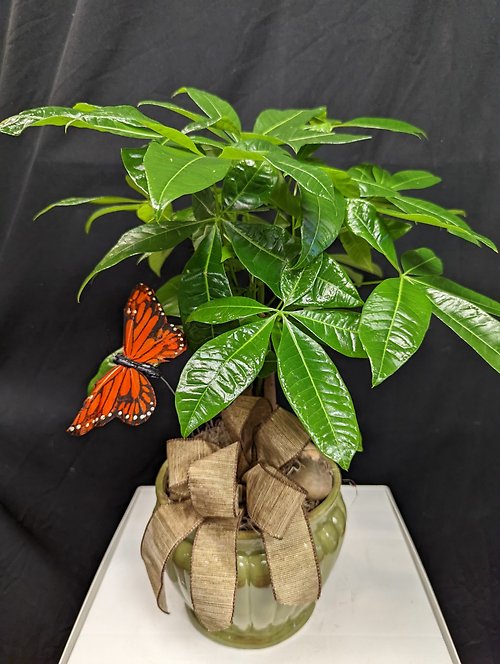 Prosperity & Good Fortune Planter Tabletop Size