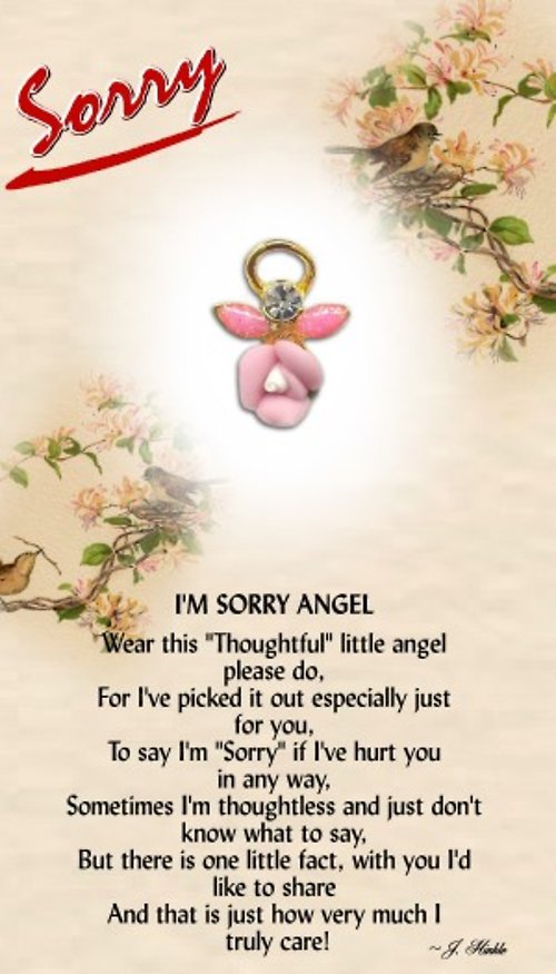 Sorry Angel
