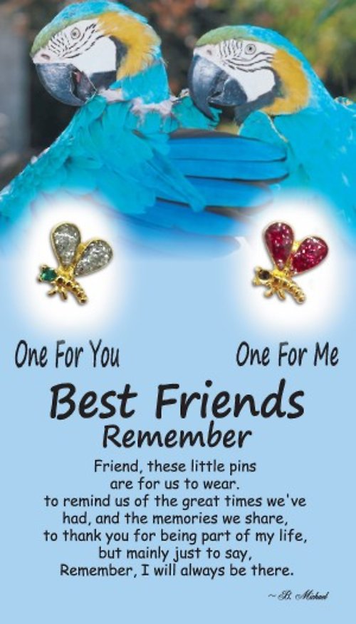 Best Friends Remembered