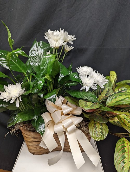 Peace in Prayers Planter Basket