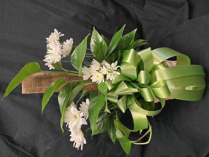 Pothos on a Pole Planter