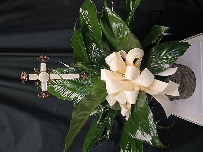 Sending Love & Prayers Tabletop Peace Lily