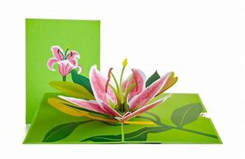 LovePop Lily Bloom