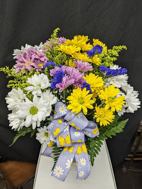 Crazy for Daisies