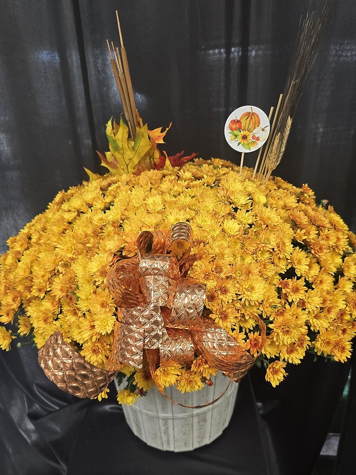 Autumn Chrysanthemun Planter