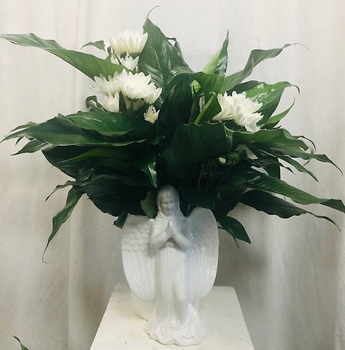 Angel Planter