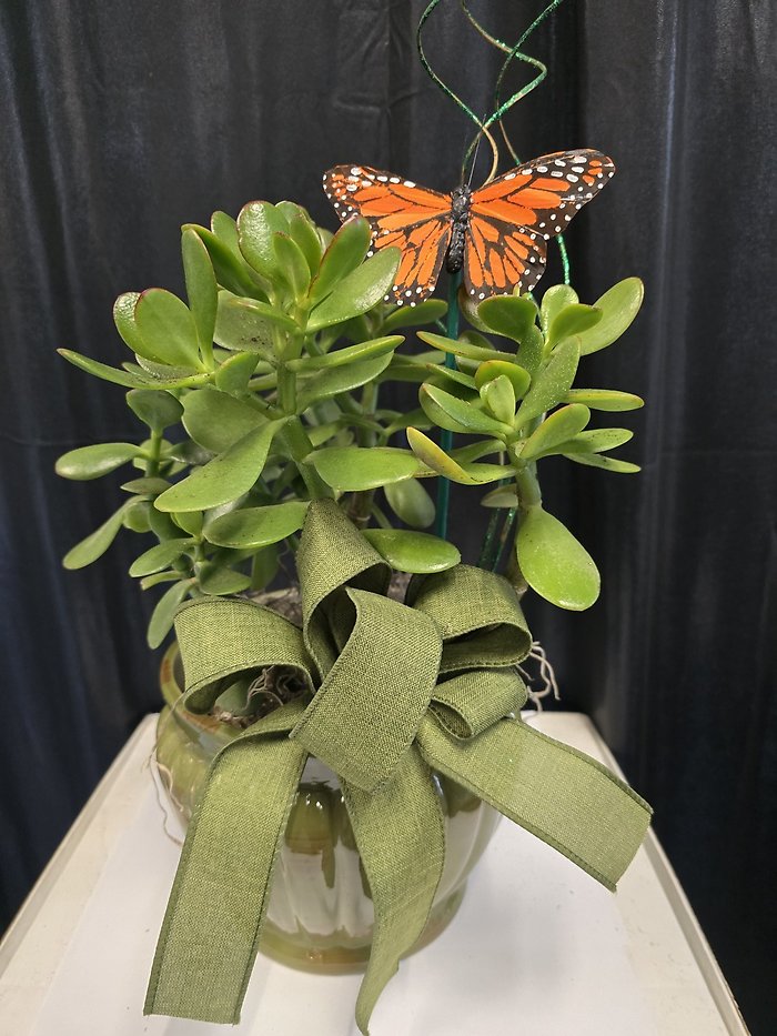 Wealth & Prosperity Jade Planter